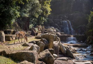 Jim Corbett Museum